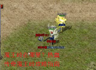 ħ�����������Ѫ����ħ���빥��ָ��