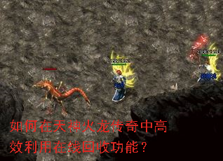 �����������������и�Ч�������߻��չ��ܣ�