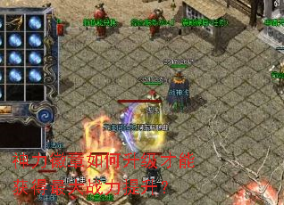 ������������������ܻ�����ս��������